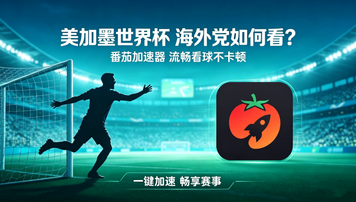 在越南看世界杯直播当前IP受限制教程